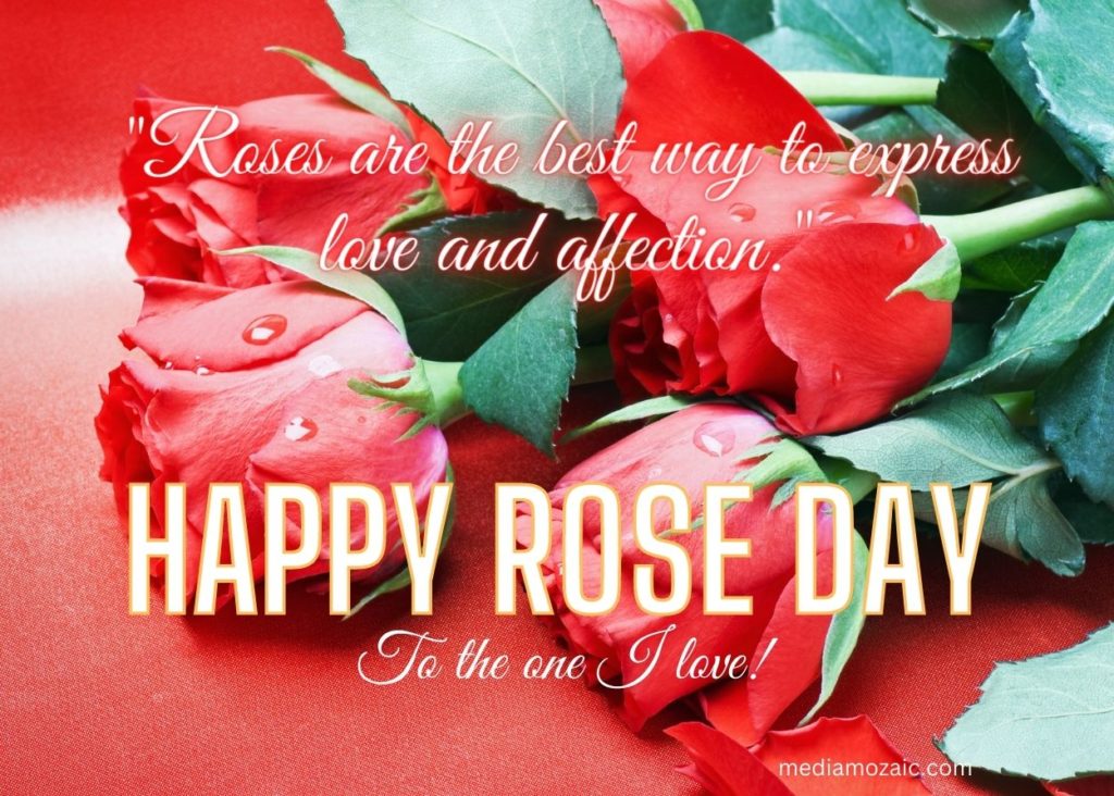 orange rose quotes,rose day thoughts,rose day quotes