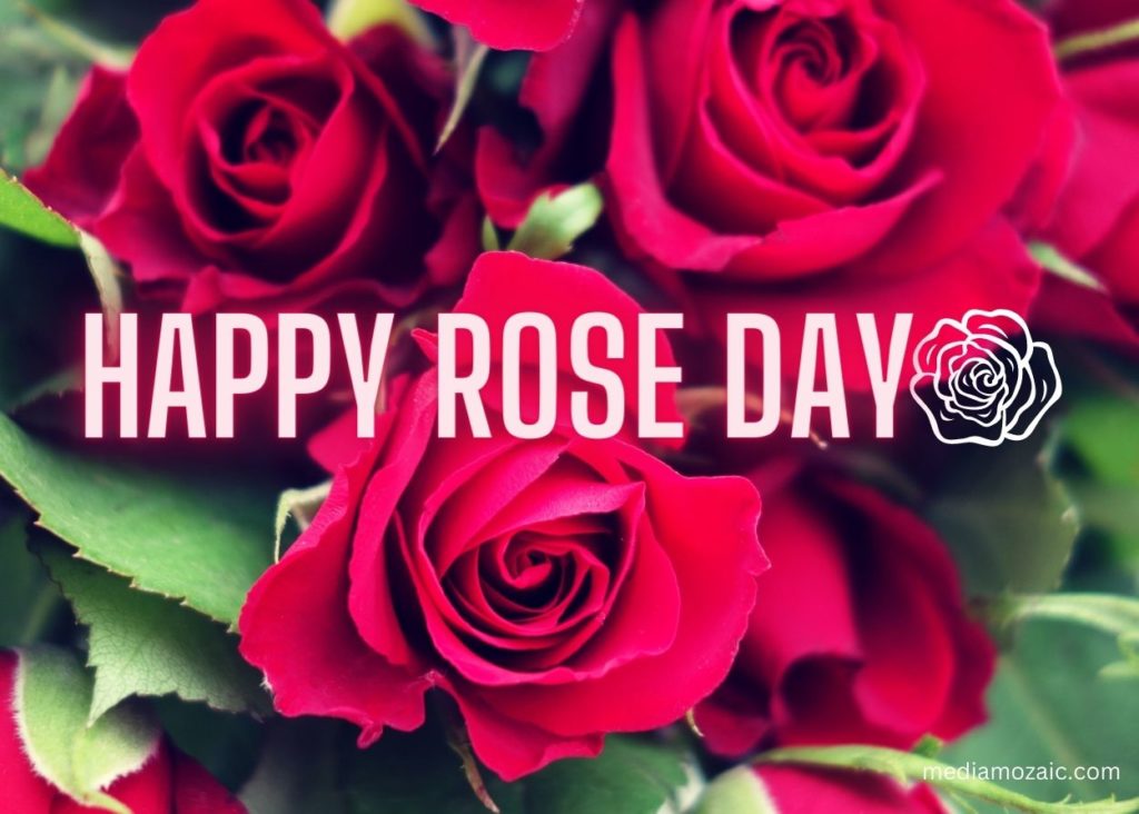 rose day caption,rose day wish, happy rose day 2024 wishes