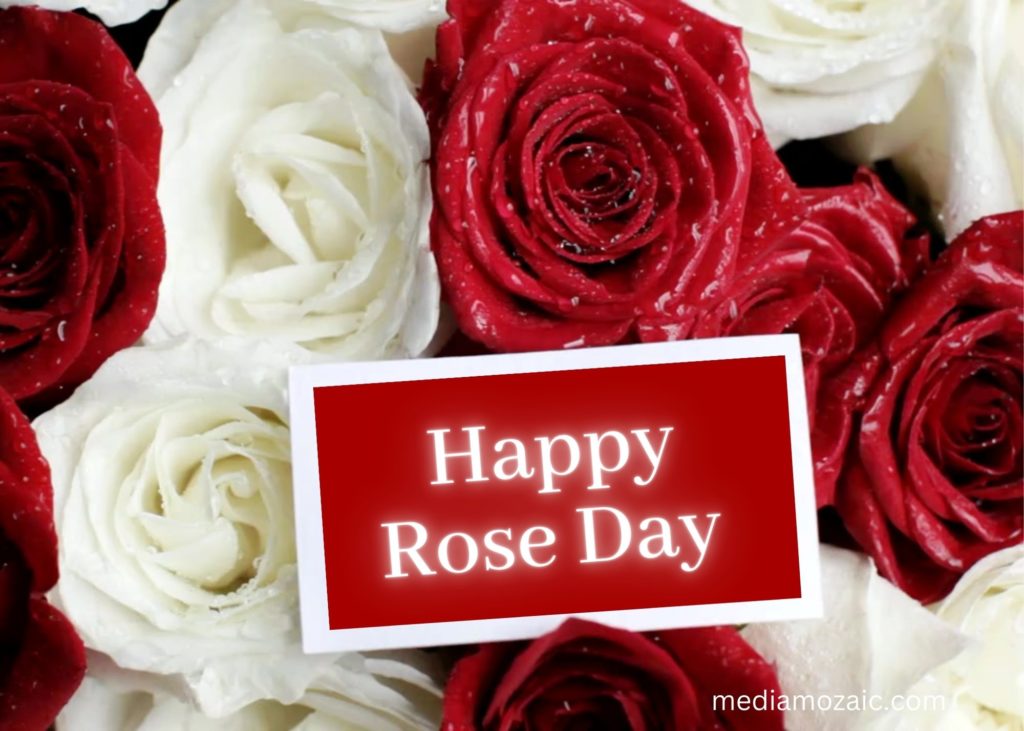 happy rose day, rose day animated wishes