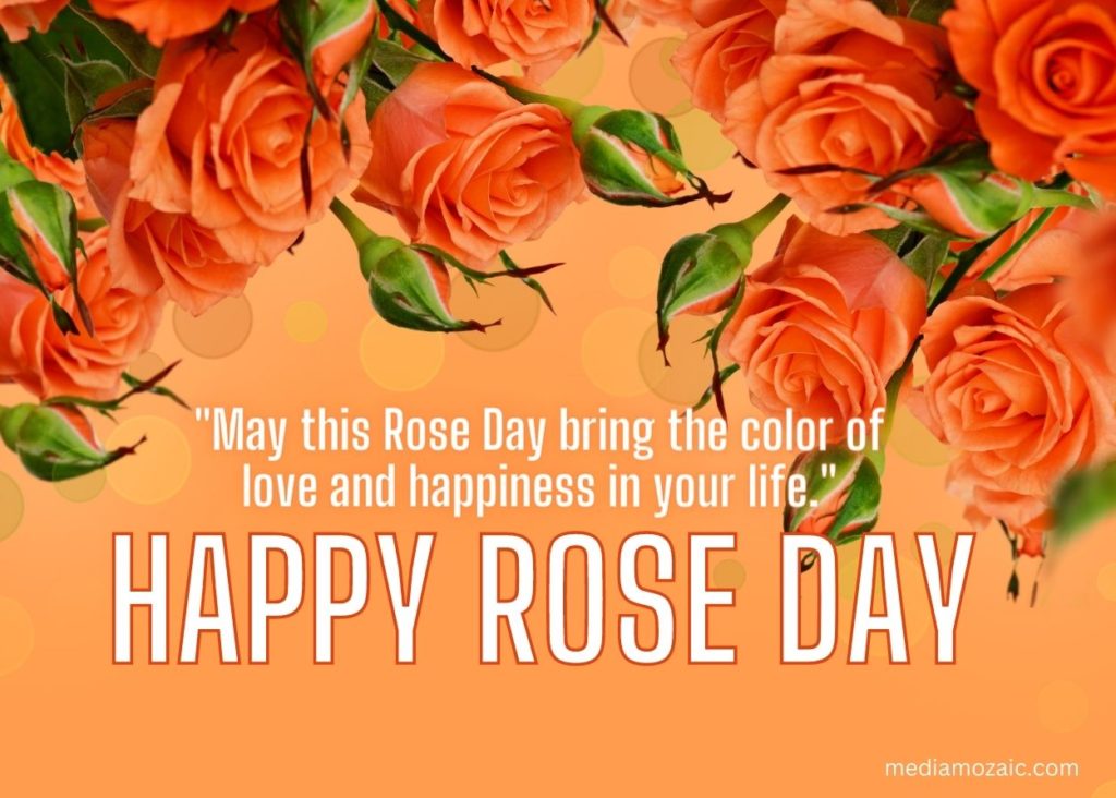 happy rose day 2024, orange rose quotes, 