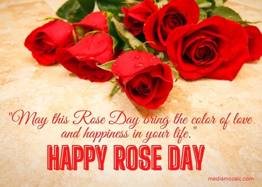 happy rose day 2024 wishes,rose day wish