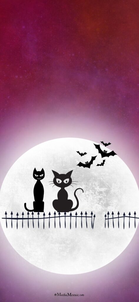 Halloween Cats iPhone Wallpaper 1 halloween cats at night iphone background