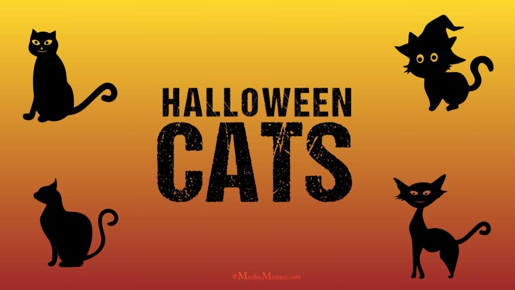 30+ Spooky & Cute Halloween Backgrounds | Halloween Background Pictures 13 halloween cats backgrounds, halloween spooky backgrounds for desktop,halloween picture background, happy halloween image backgrounds for desktop