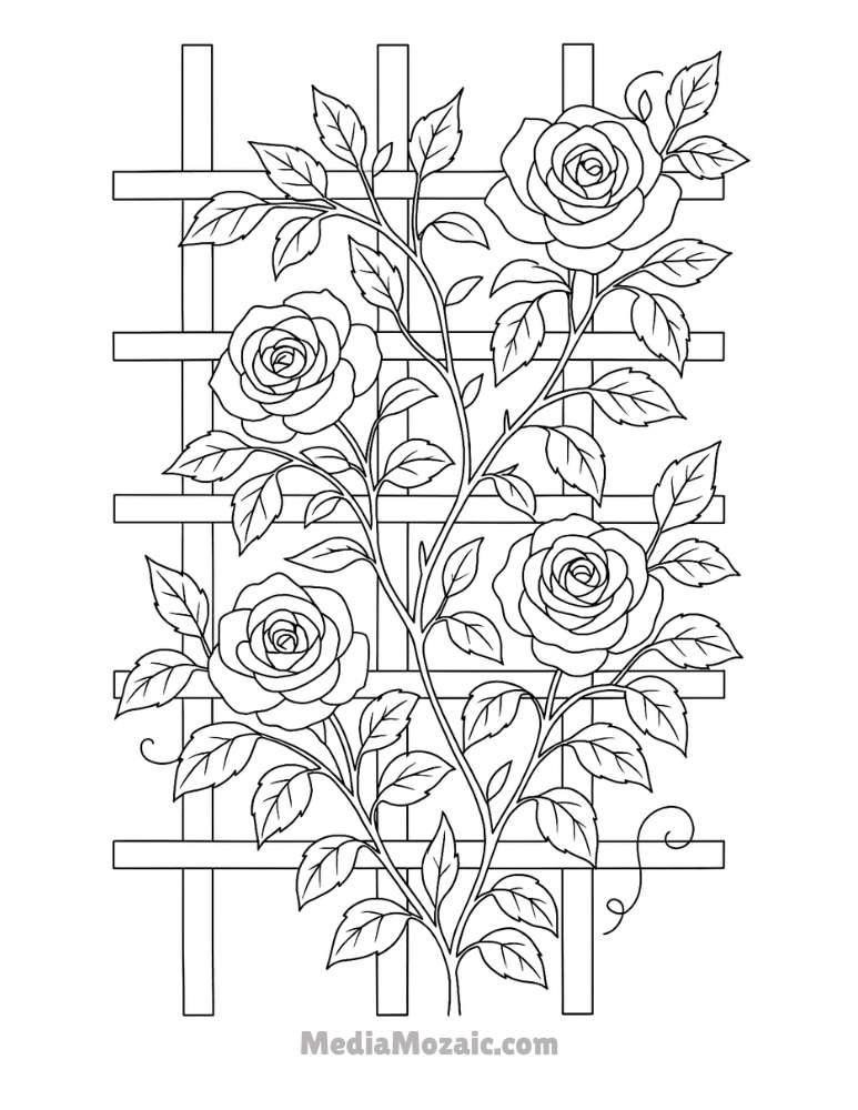 ๐น 15 Printable Rose Coloring Pages for Kids & Adults 12 Vertical rose coloring page featuring climbing rose vines on a wooden trellis, ideal for practicing foliage shading.