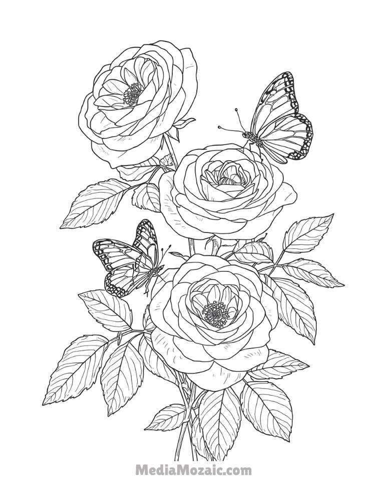๐น 15 Printable Rose Coloring Pages for Kids & Adults 6 Detailed rose coloring page featuring three realistic roses and two butterflies, great for older kids and adults.