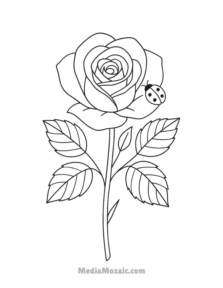 ๐น 15 Printable Rose Coloring Pages for Kids & Adults 11 Cute rose coloring page with a blooming rose and a small ladybug resting on a leaf.